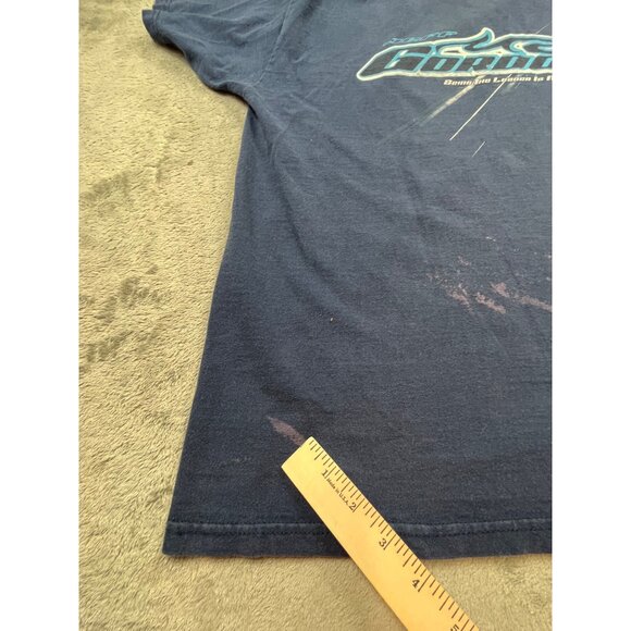 VTG 2004 Chase Authentics Mens Large Blue Jeff Gordon NASCAR Legend Driver Shirt - Picture 7 of 10
